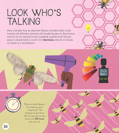 Entomology Activity Book