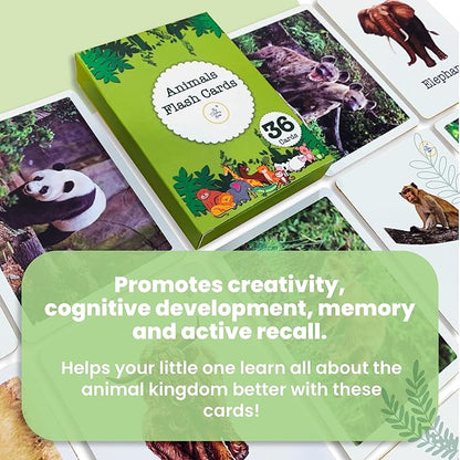 The Curious Bees Flash Cards - High Contrast New Born Anti-Glare Cards & Other Variants