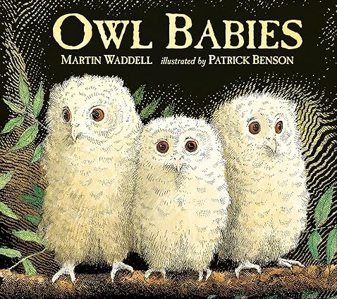 Owl Babies - Aaram Parents