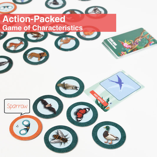 Chalk & Chuckles- Eye See- The Animal World