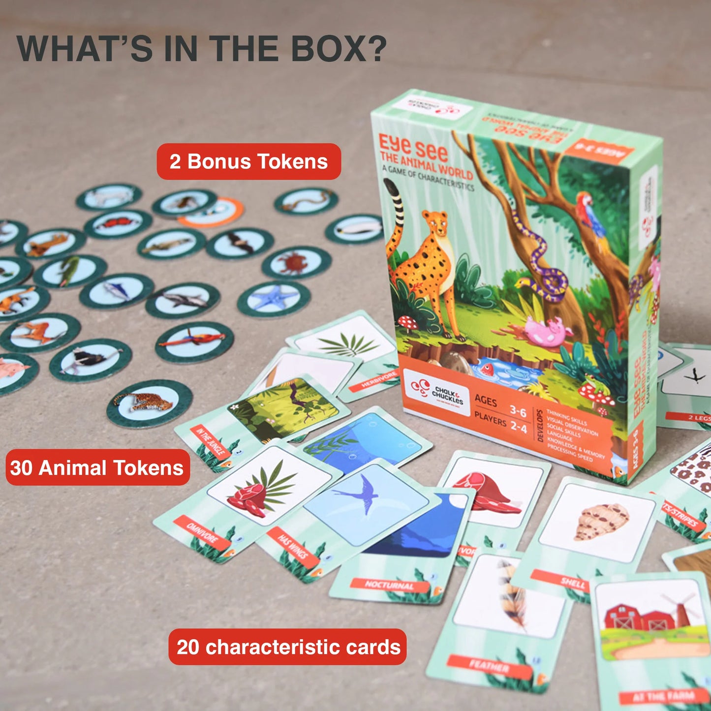 Chalk & Chuckles- Eye See- The Animal World