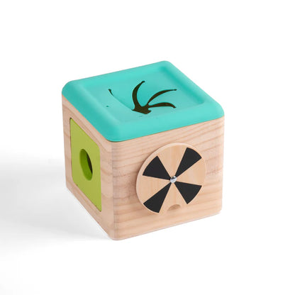 Star Papaya- Slot & Pull Tissue Box
