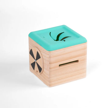 Star Papaya- Slot & Pull Tissue Box