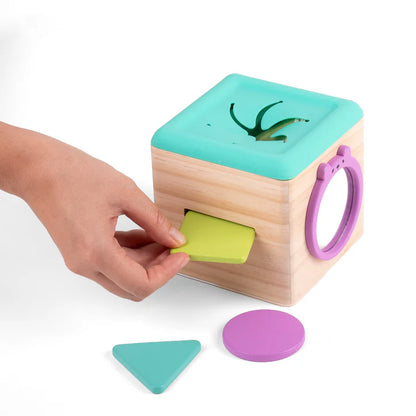 Star Papaya- Slot & Pull Tissue Box