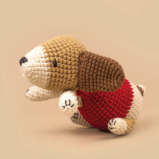 Jugo Play- My First Pet