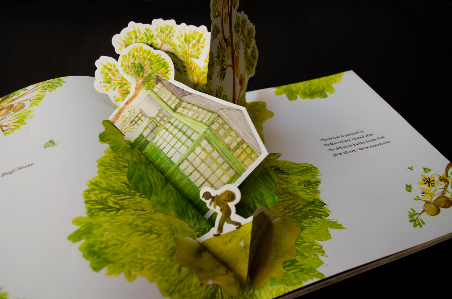 Ram Kumar: Between the Lines