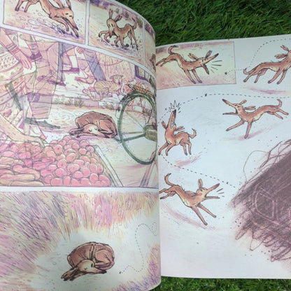 Dugga (Wordless) - Pratham Books