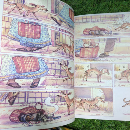 Dugga (Wordless) - Pratham Books