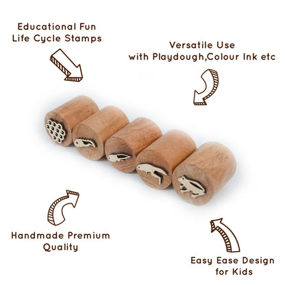 MoonToys-  Frog Life Cycle Stamp